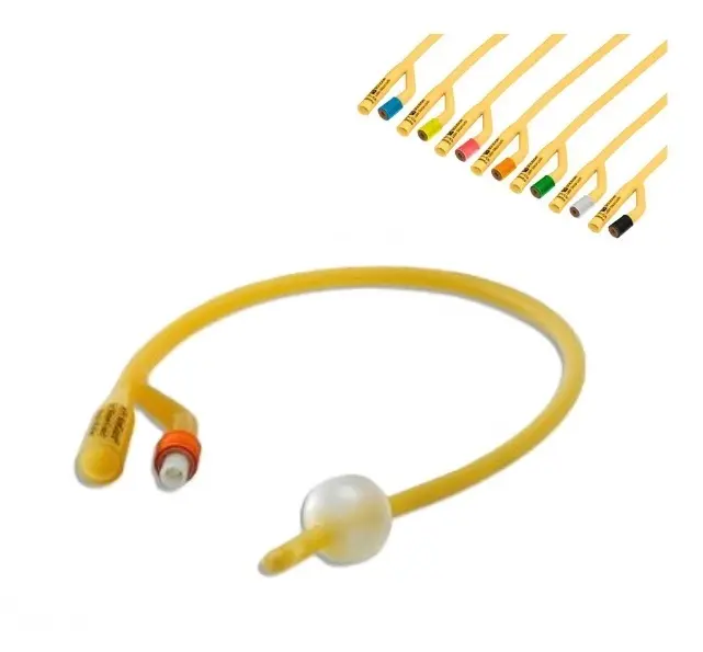 [024242] SONDA FOLEY EST.SILICONIZADA 2V FR22 30CC 26223