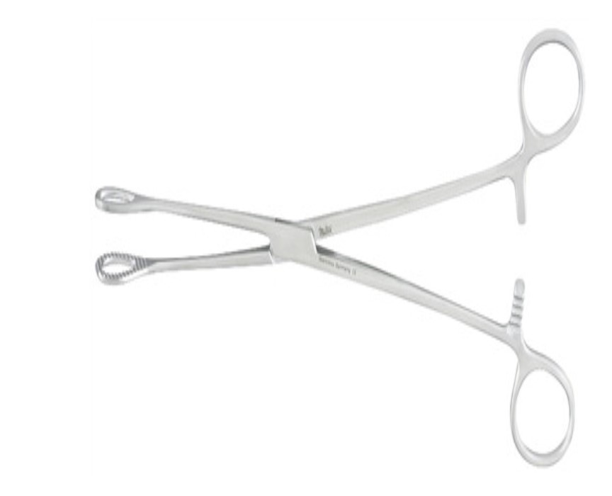 PINZA FORESTER RECTA PORTA ESPONJA 24 CM HP 5-46-5