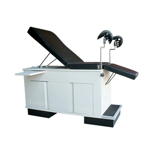 [010102] MESA DE EXPLORACIÓN FUTURO BLANCA