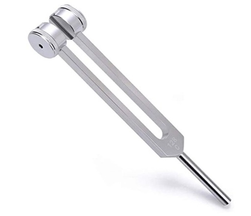 [020006] DIAPASON 64 HRZ CON SORDINA