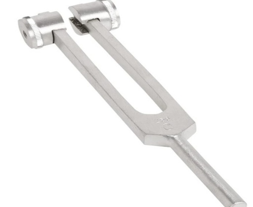 [020008] DIAPASÓN 256 HRZ CON SORDINA