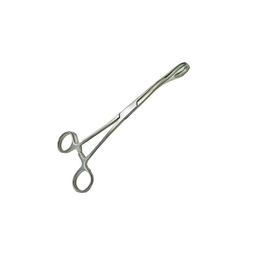 [020098] PINZA FORESTER CURVA PORTA ESPONJA 18 CM HP