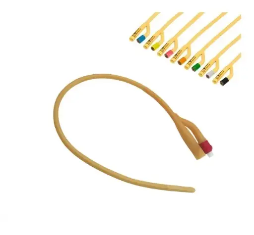 [024243] SONDA FOLEY EST.SILICONIZADA 2V FR24 30CC 1360330